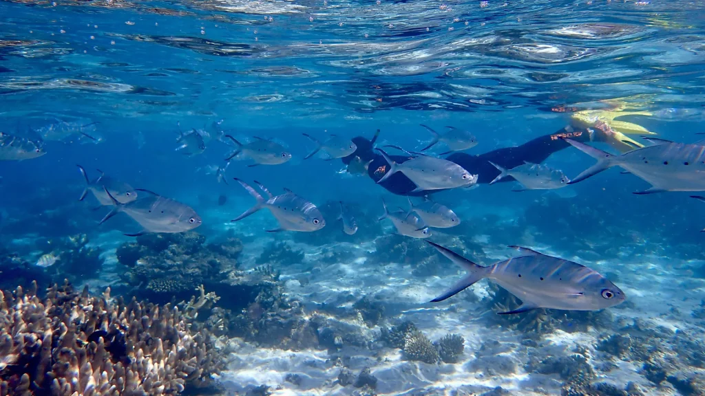 A Desert-to-Sea Adventure on Australia’s Hidden Coral Reef