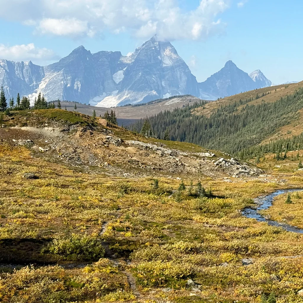 The Canadian Mountains Where Heli-Hiking Was Born: A High-Altitude Adventure