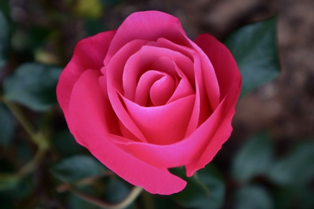 The Unfolding Crisis in Eastern Europe: Analyzing the Geopolitical Tensions and Their Consequences