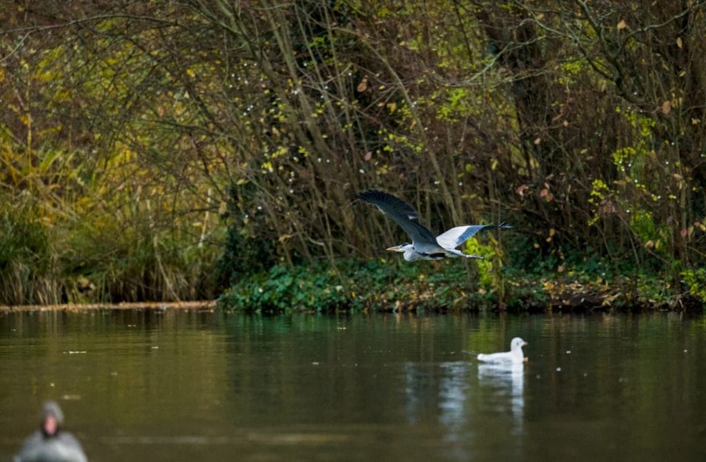 Shifting Dynamics in the Global Energy Market Amidst Renewed Geopolitical Tensions and Climate Imperatives