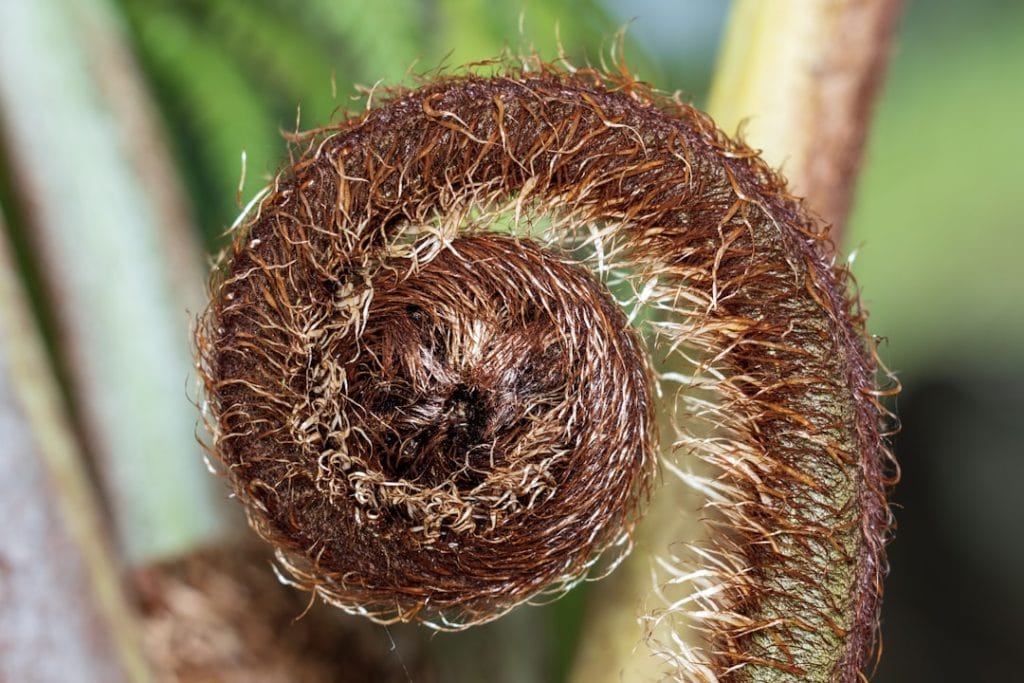 The Unfolding Crisis in the South China Sea: Territorial Tensions and Global Implications