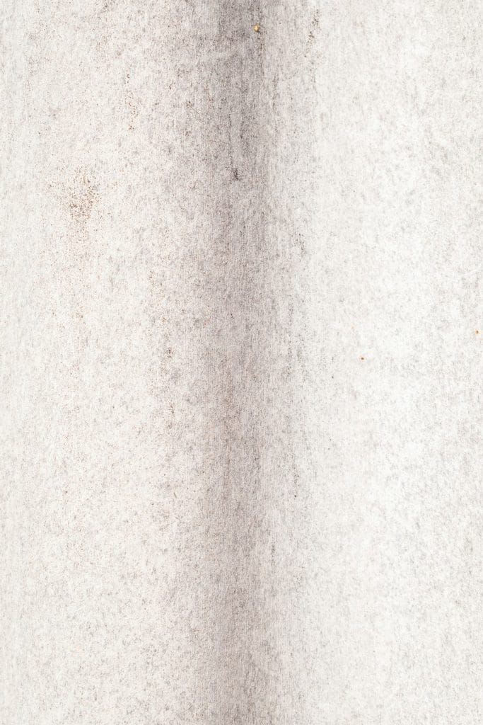 Brigitte Bardot Passes Away at 91, Leaving a Complex Legacy