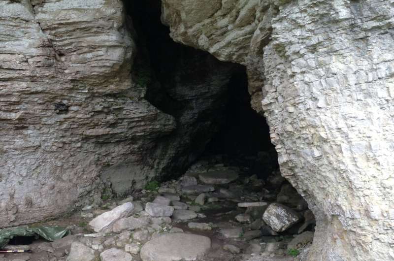 Researchers Discover Remains of Ancient Wolves on Baltic Island