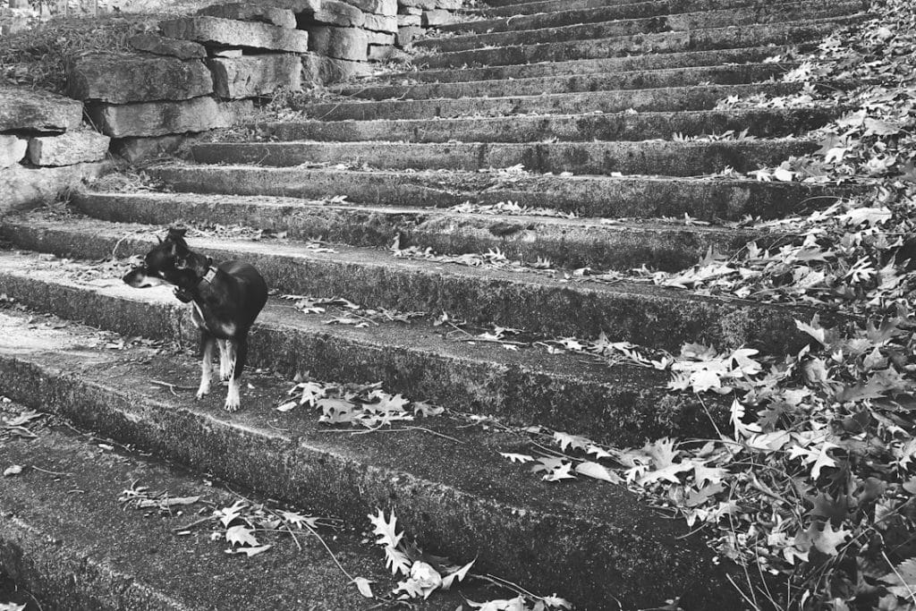 Evolving Challenges in Global Trade: Navigating Economic Uncertainty Amid Political Strife