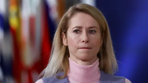 EU Diplomat Rejects Russia's Claims of Ukrainian Attack on Government Buildings