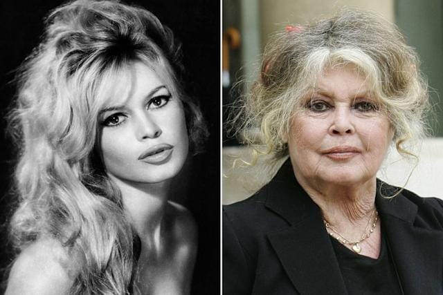 France Honors Brigitte Bardot with National Tribute Demand