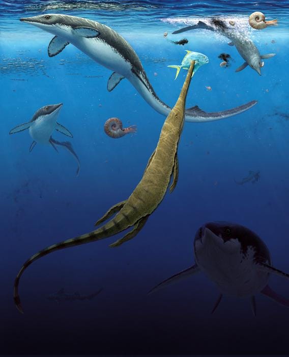 Marine Life Rapidly Recovered After Earth's Most Severe Extinction