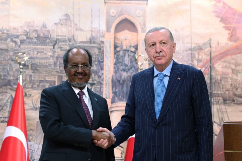 Erdogan Condemns Israel's Recognition of Somaliland as Unacceptable