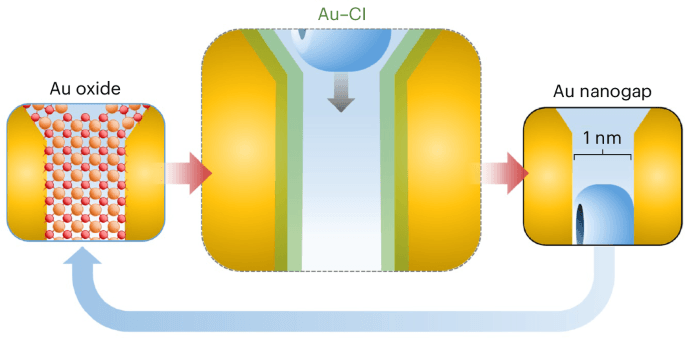 New Gold-Based Catalyst Sets Record in Green Chemistry