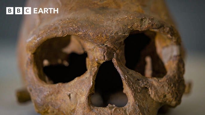 Un fossil antic ar putea rescrie povestea originilor umane