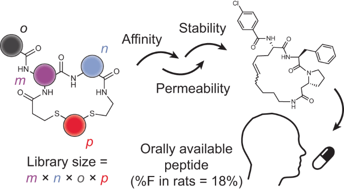 Unlock Unlimited Access to Over 1,000 Professional Development Courses for Just $18