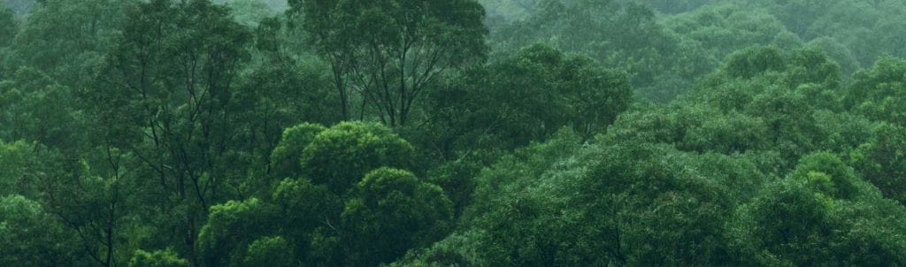 Верховный Суд готовится вынести решение по тарифам Трампа