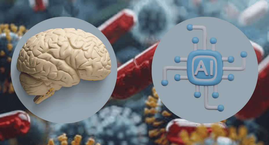 Gut Microbes Influence Human Brain Intelligence