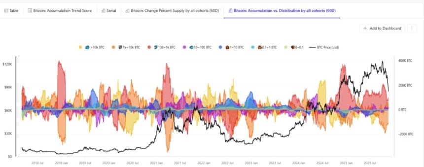Bitcoin Whales Reduce BTC Exposure Indicating Bullish Signal