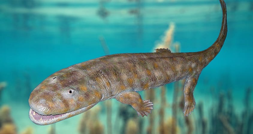 Mass Extinction of the Ordovician Revolutionizes Ocean Life