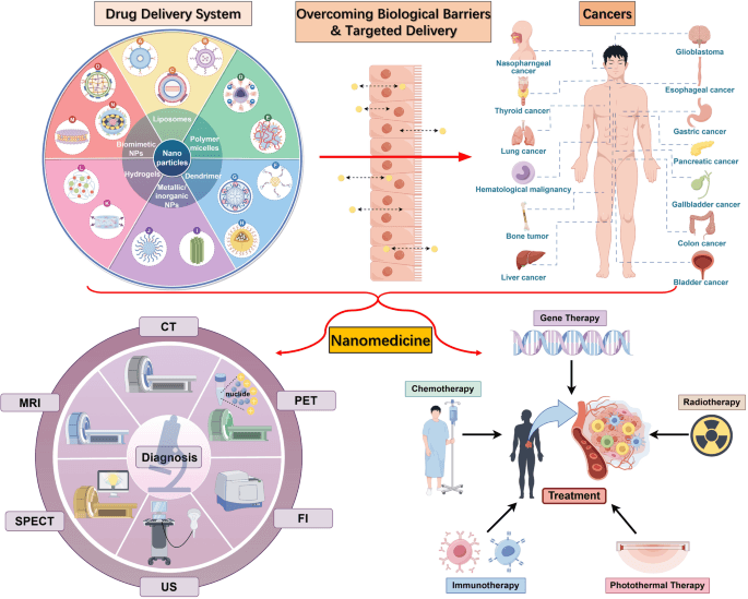 Researchers Develop Magnetic Nanoparticles to Combat Bone Cancer and Aid Healing