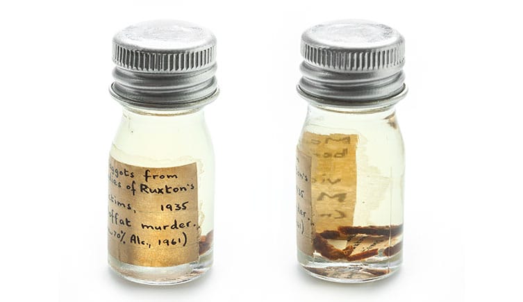 Tiny Plant Aids in Solving Crimes