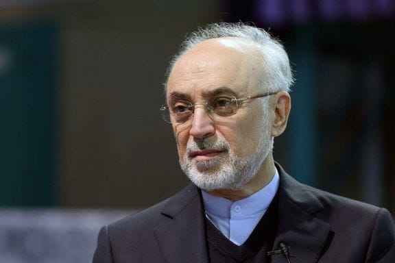 Fans of Senegal and Ivory Coast Protest Against Travel Restrictions for 2026 World Cup