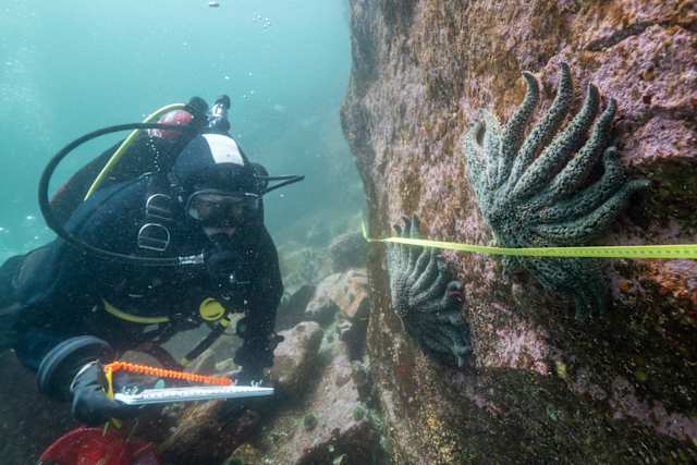 Researchers Identify Bacteria Behind Mysterious Intoxication