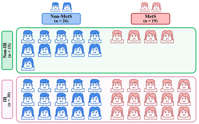Unveiling the IR Connection of Tamagotchi Through Reverse Engineering